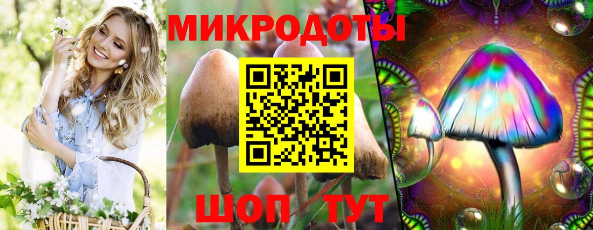 Галлюциногенные грибы Psilocybe Коммунар